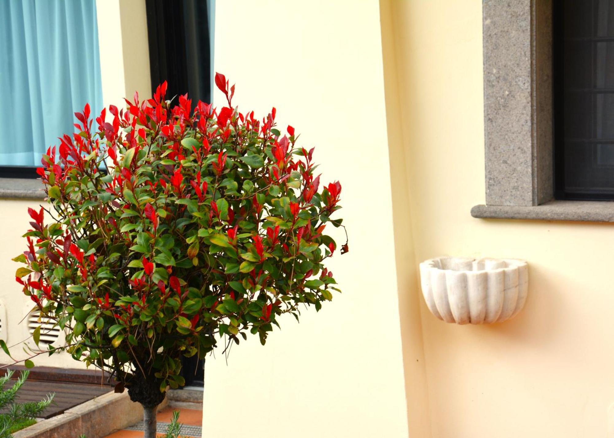 Gemelli Hotel Roma Exterior foto